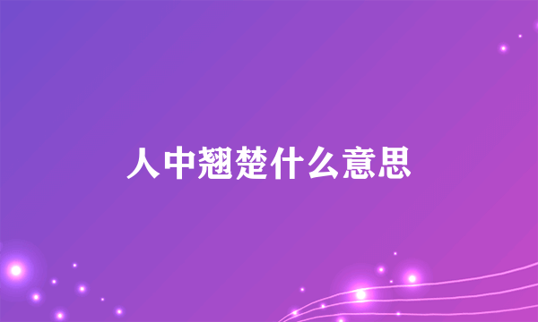 人中翘楚什么意思