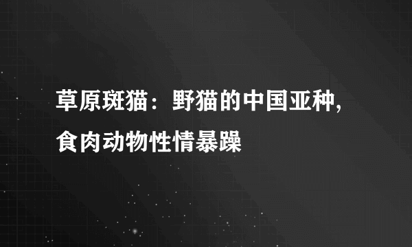 草原斑猫：野猫的中国亚种,食肉动物性情暴躁