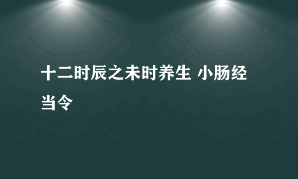 十二时辰之未时养生 小肠经当令