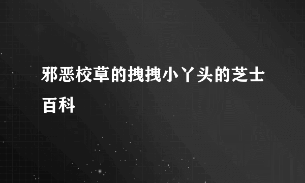 邪恶校草的拽拽小丫头的芝士百科