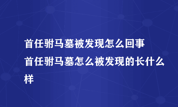 首任驸马墓被发现怎么回事 首任驸马墓怎么被发现的长什么样