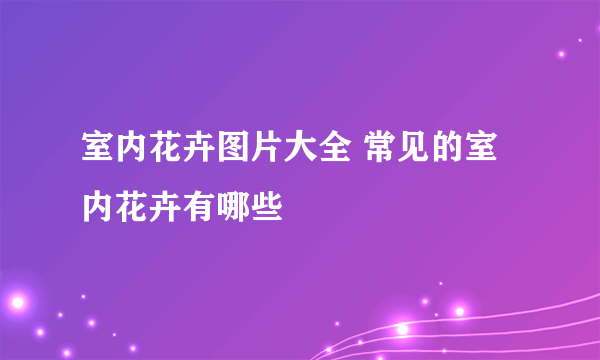 室内花卉图片大全 常见的室内花卉有哪些