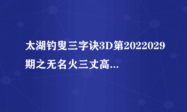 太湖钓叟三字诀3D第2022029期之无名火三丈高，两桶油往上浇