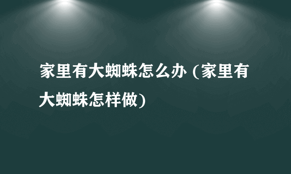 家里有大蜘蛛怎么办 (家里有大蜘蛛怎样做)