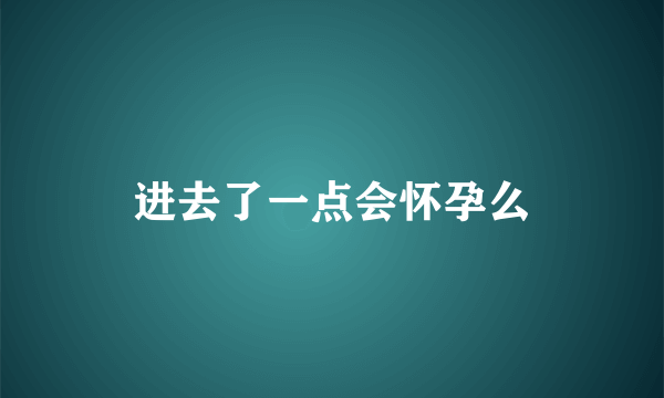 进去了一点会怀孕么