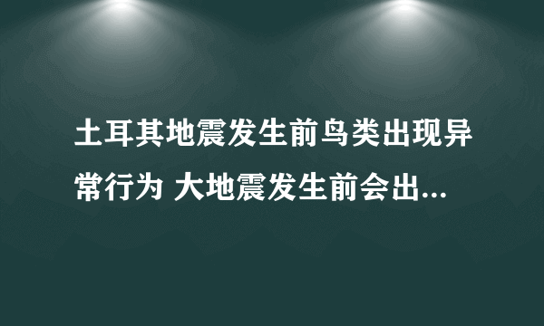 土耳其地震发生前鸟类出现异常行为 大地震发生前会出现哪些前兆