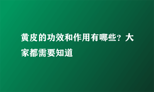 黄皮的功效和作用有哪些？大家都需要知道