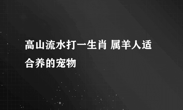 高山流水打一生肖 属羊人适合养的宠物