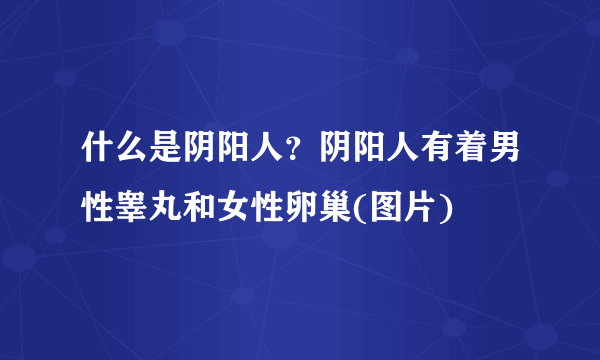 什么是阴阳人？阴阳人有着男性睾丸和女性卵巢(图片) 