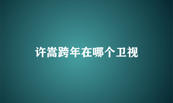 许嵩跨年在哪个卫视