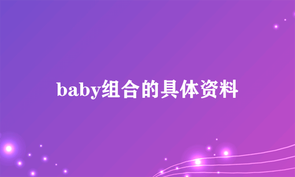 baby组合的具体资料