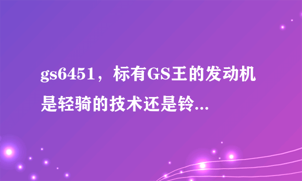 gs6451，标有GS王的发动机是轻骑的技术还是铃木的技术质量性能怎么