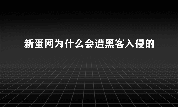 新蛋网为什么会遭黑客入侵的