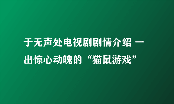 于无声处电视剧剧情介绍 一出惊心动魄的“猫鼠游戏”