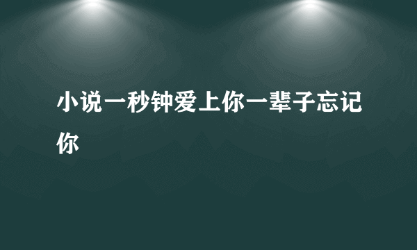 小说一秒钟爱上你一辈子忘记你