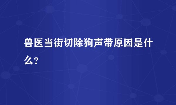 兽医当街切除狗声带原因是什么？