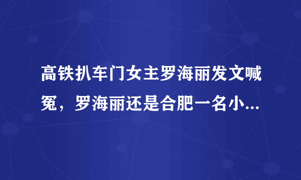 高铁扒车门女主罗海丽发文喊冤，罗海丽还是合肥一名小学语文高级教师合肥市永红路小学教导处副主任-飞外网