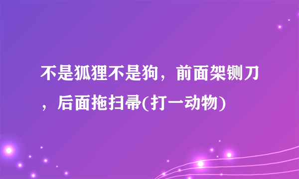 不是狐狸不是狗，前面架铡刀，后面拖扫帚(打一动物)