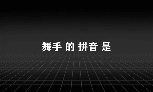 舞手 的 拼音 是