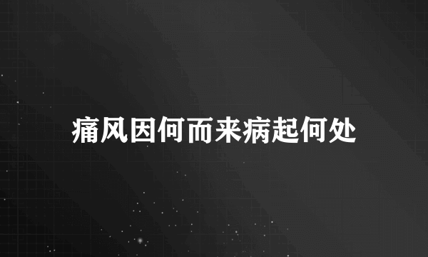 痛风因何而来病起何处