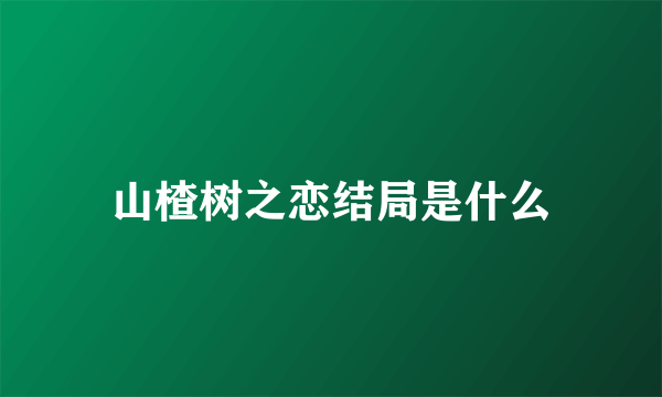 山楂树之恋结局是什么