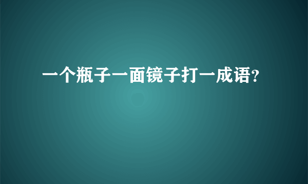 一个瓶子一面镜子打一成语？