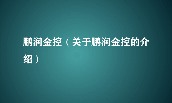 鹏润金控（关于鹏润金控的介绍）