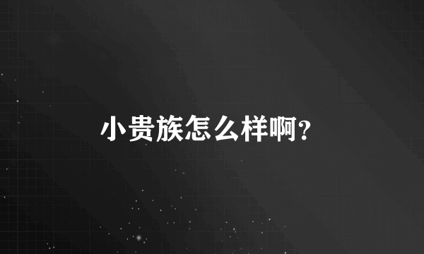 小贵族怎么样啊？