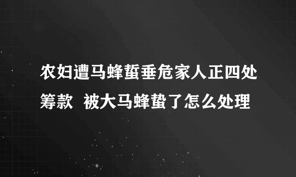 农妇遭马蜂蜇垂危家人正四处筹款  被大马蜂蛰了怎么处理