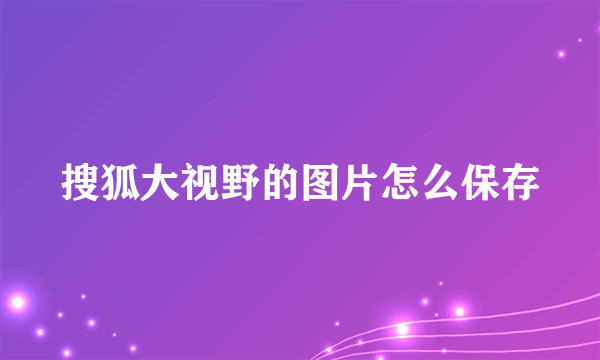 搜狐大视野的图片怎么保存