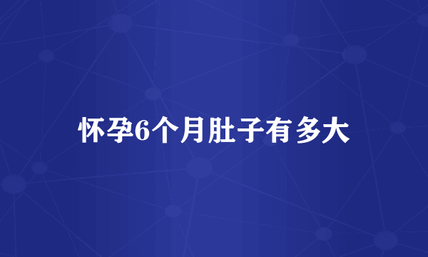 怀孕6个月肚子有多大