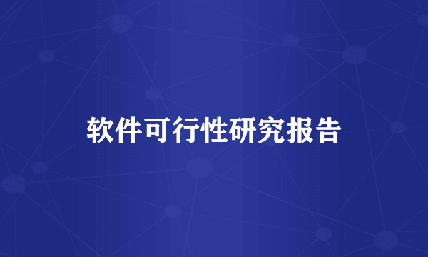 软件可行性研究报告