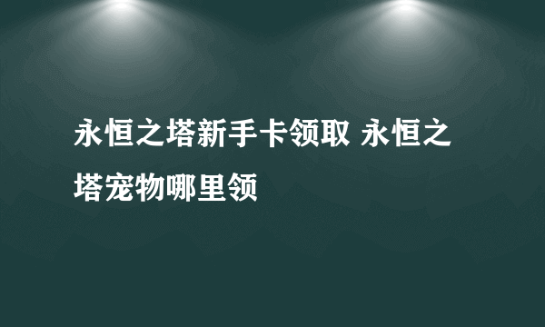 永恒之塔新手卡领取 永恒之塔宠物哪里领