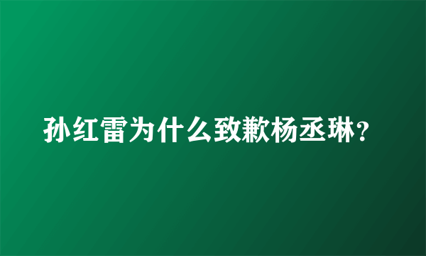 孙红雷为什么致歉杨丞琳？