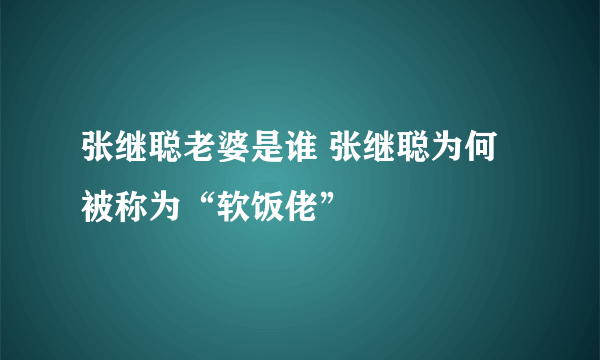 张继聪老婆是谁 张继聪为何被称为“软饭佬”