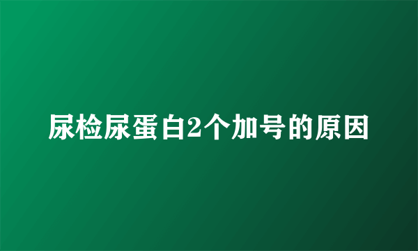 尿检尿蛋白2个加号的原因