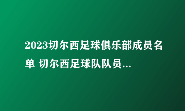 2023切尔西足球俱乐部成员名单 切尔西足球队队员名单 切尔西阵容2023