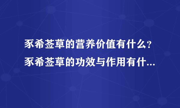 豕希莶草的营养价值有什么？豕希莶草的功效与作用有什么？[图]