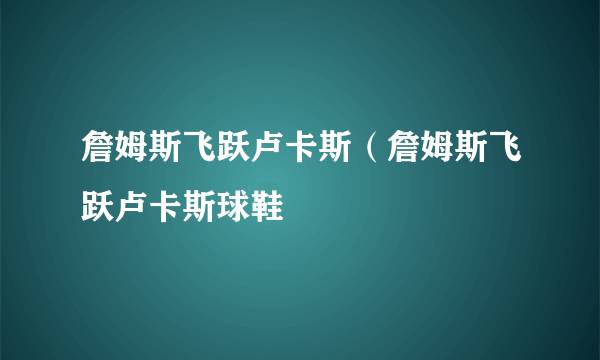 詹姆斯飞跃卢卡斯（詹姆斯飞跃卢卡斯球鞋