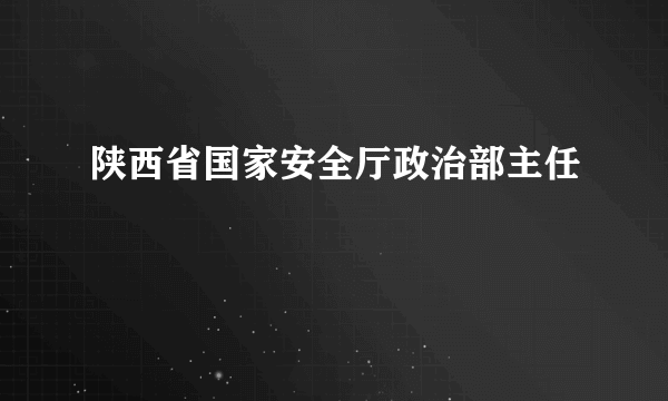 陕西省国家安全厅政治部主任