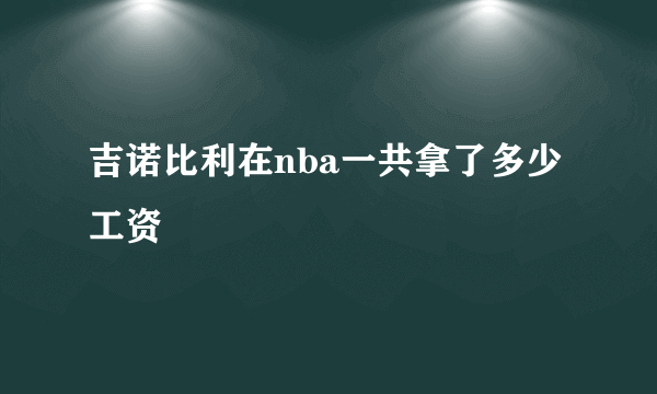 吉诺比利在nba一共拿了多少工资