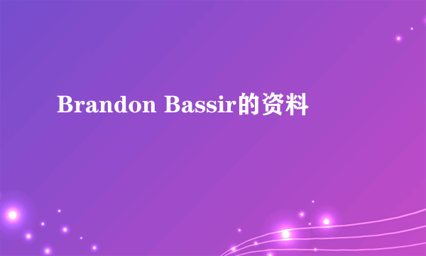 Brandon Bassir的资料