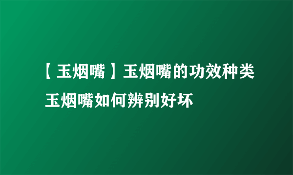 【玉烟嘴】玉烟嘴的功效种类 玉烟嘴如何辨别好坏