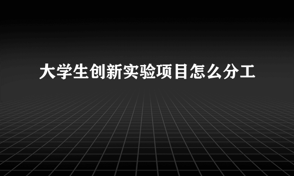 大学生创新实验项目怎么分工