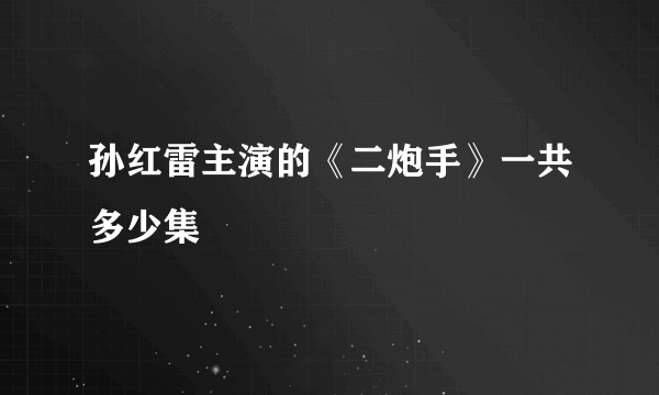 孙红雷主演的《二炮手》一共多少集