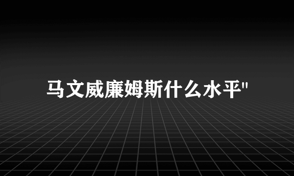 马文威廉姆斯什么水平