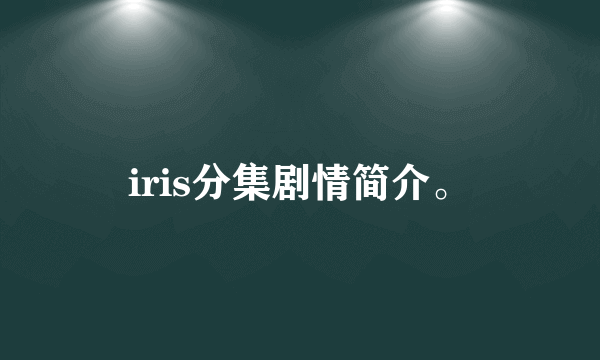 iris分集剧情简介。