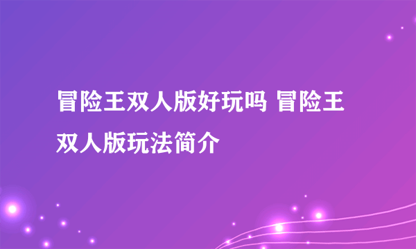 冒险王双人版好玩吗 冒险王双人版玩法简介