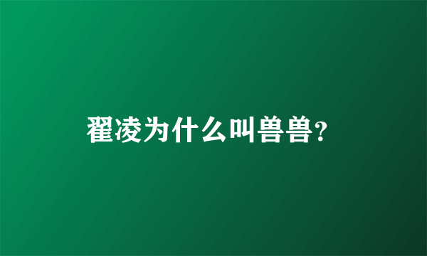 翟凌为什么叫兽兽？