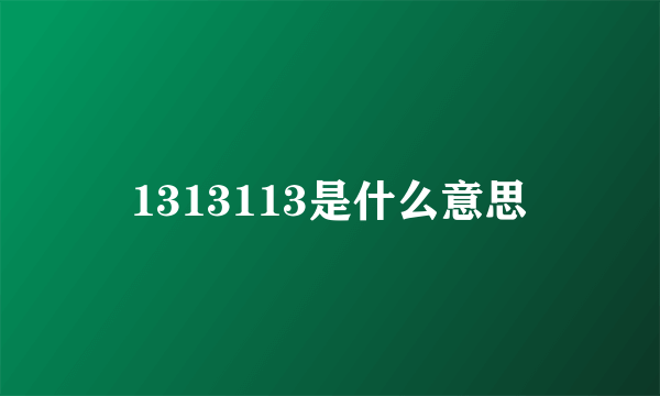 1313113是什么意思